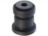 Control Arm Bushing:1 061 570