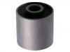 Suspension Bushing Suspension Bushing:4110A033