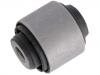 Suspension Bushing Suspension Bushing:52364-SJF-004