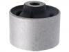 Suspension Bushing Suspension Bushing:55116-2E001