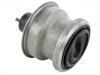 Support moteur Engine Mount:1093A007